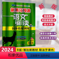 [语文阅读同步拓展训练]B版 小学四年级 [正版]2024版新黑马阅读语文阅读同步拓展训练B版小学4年级上下册现代文拓展