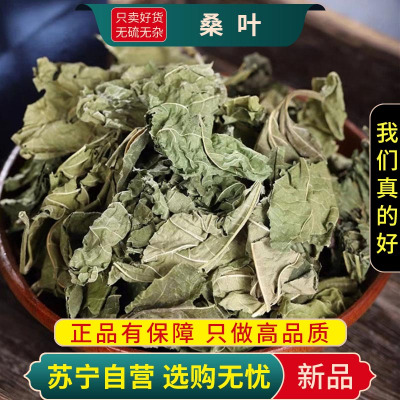 甄选桑叶100克精选养生茶干货新货煮水泡茶官方店白菊花薄荷叶甘草