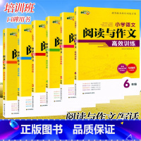 小桔豆/阅读写作高效训练 小学一年级 [正版]小桔豆名师教你阶梯阅读训练一二年级阅读写话辅导书三四五六年级阅读与作文高效