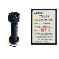 捷普森 轴承座螺栓(含平垫) 12mm*60mm