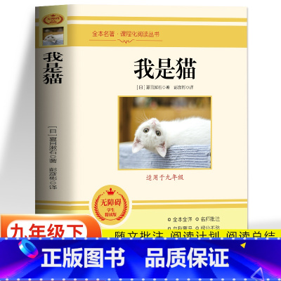 我是猫 [正版] 我是猫夏目漱石原著完整版未删减 世界名著外国小说初中生九年级下册课外书读本 青少年初三年级外国文学名著