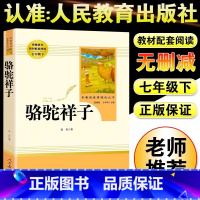 [人教版]骆驼祥子 [正版]朝花夕拾鲁迅原着+西游记无删减版国一上册必读课外书人民教育出版社老师阅读白洋淀纪事湘行散记镜