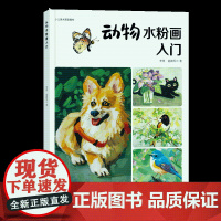 动物水彩画入门 水彩画所需要的工具和常用技法