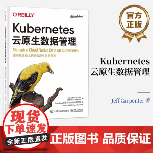 正版 Kubernetes云原生数据管理 Kubernetes管理数据存储 自动部署和管理数据库 数据流式传输数据分析过