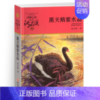 黑天鹅紫水晶 [正版]一只猎雕的遭遇/动物小说大王沈石溪品藏书系 适合四五六年级儿童的课外启发读物教辅 少儿文学小说故事