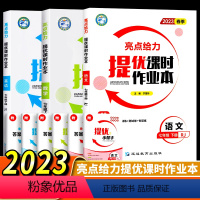 [正版]3本2023春新版亮点给力提优课时作业本初中语文数学英语七年级7年级下册江苏版译林版全国版单元期中期末卷基