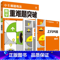中考数学重难题突破 初中通用 [正版]2025适用理想树中考解题有法数学重难题突破杨文彬附上分大招重难题型突破必刷题全解