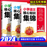 [知识集锦+小升初模拟卷]语数英共6本 小学通用 [正版]小学核心知识集锦 语文数学英语全套人教版知识大盘点三四五六年级