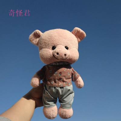 奇怪君毛绒玩具可爱超萌女生ins网红萌穿衣萌帮公仔猪娃娃兔子玩偶生日礼物送女友送孩子