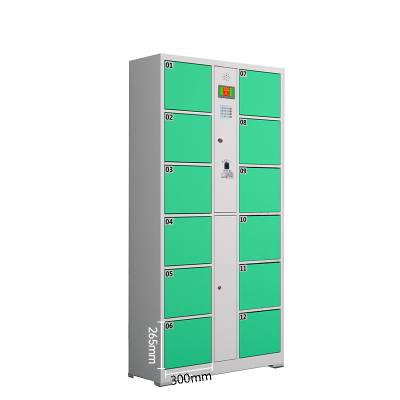 菲尔阿扎 PHIL ARZA 存包柜 储物柜12门/台