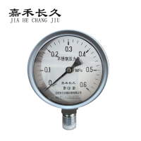 嘉禾长久 不锈钢耐温压力表检测型 Y100BF 块