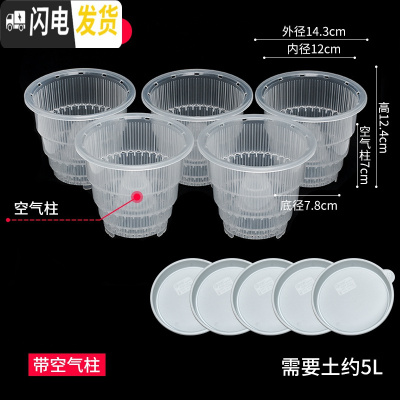 三维工匠美莳控根花盆石斛专用盆 透气 洋兰花盆蝴蝶兰盆塑料花盆创意透明 5只12cm透明带空气柱[含托盘] 小花盆容器
