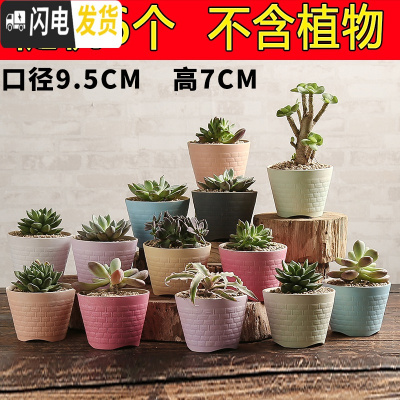 三维工匠多肉花盆陶瓷创意个性粗陶肉肉植物盆器大口径小花盆 八彩斗笠随机6个 中小花盆容器