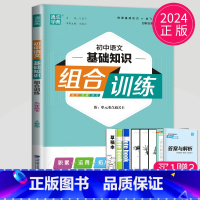 语文基础知识 九年级下 九年级/初中三年级 [正版]2024初中英语阅读组合训练九年级全一册江苏译林版初三英语完形填空与