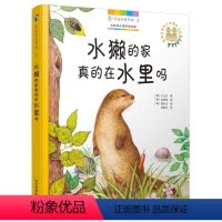 [正版]身边的自然课2:水獭的家真的在水里吗 6-12岁孩子认识自然的好帮手 自然植物科普百科亲子阅读儿童植物科普百科