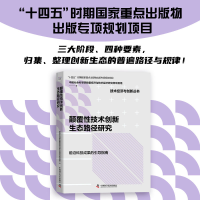 音像颠覆技术创新生态路径研究数量经济与技术经济研究所项目组
