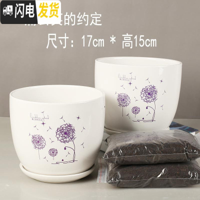 三维工匠陶瓷花盆大号多肉芦荟吊兰带托盘绿萝创意个性口径17cm高 (蒲公英约定2个大号+2斤土) 大花盆容器