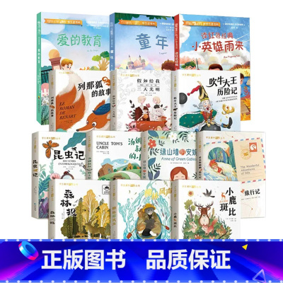 13册[国际获奖第一辑]+雨来+童年+爱的教育 [正版]学生课外阅读丛书全套10册彩图注音版(国际获奖第一辑)儿童文学系