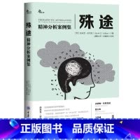 [正版]殊途 精神分析案例集 重庆大学 鹿鸣心理 精神分析案例集 精神分析临床工作经验 心理疾患分析 心理学精神分析应