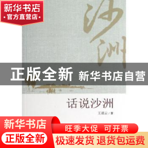 正版 话说沙洲 王道云著 知识产权出版社 9787513017275 书籍