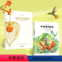 [2册]一粒种子中的世界+丛林里的四季 [正版]一粒种子中的世界意大利生态教育科普绘本3-4-6-8-12岁儿童课外阅读