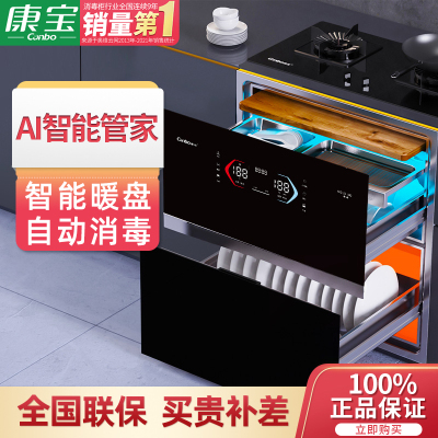 [政府补贴]康宝(Canbo)嵌入式消毒柜 厨房110L大容量智能消毒碗柜 臭氧物理灭菌 高温消毒XDZ110-HM2