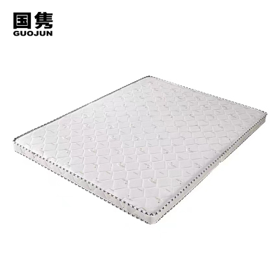国隽 单人床垫 900*2000mm 张