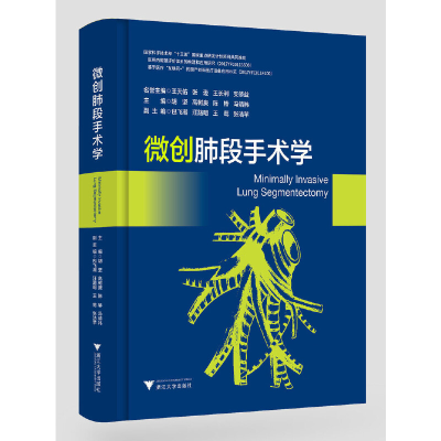 醉染图书微创肺段手术学9787308190145