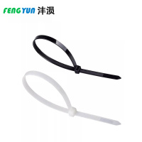 沣涢 尼龙扎带 10*500mm 根