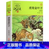 虎娃金叶子 [正版]完整版虎娃金叶子全本沈石溪的图书籍动物小说大王品藏系列小学生四五六年级儿童文学作品珍藏大全全集1全套
