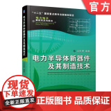 正版 电力半导体新器件及其制造技术 王彩琳 可靠性与失效机理 功率二极管 集成门极换流晶闸管 绝缘栅双极型晶体门版型