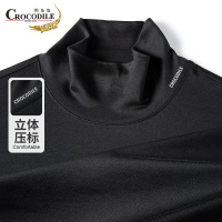 鳄鱼恤CROCODILE 中青年男士中高领气质商务长袖T恤上衣