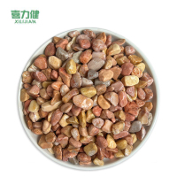 喜力健 黄色砾石 1CM*2CM 袋