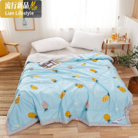 夏被棉空调被夏凉被薄款夏季被芯单人学生双豆纤维棉可机洗 三维工匠被子