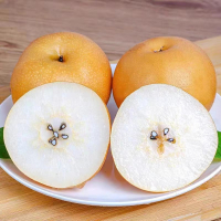 五个农民屈乡正宗秋月梨香甜多汁应季水果4.5斤装