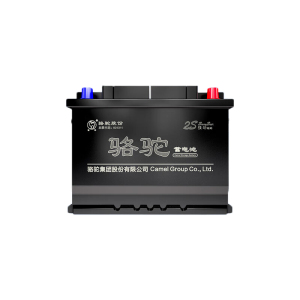 骆驼(CAMEL)汽车电瓶蓄电池6-QWD-220(2S) 卡车货车驻车空调专用