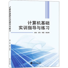 音像计算机基础实训指导与练习汪海、高望、杨志峰编