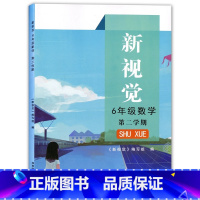 [正版]新视觉六年级下册 数学 含参考答案 6年级下/六年级第二学期 湖南师范大学出版社