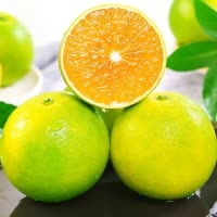 [西沛生鲜]正宗云南青皮冰糖橙 净重3斤 大果 单果70mm左右 新鲜应季水果现摘皮薄多汁清甜