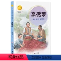 [正版] 高德荣满山挂起金果果 中华先锋人物故事汇系列第三辑 小学生课外阅读儿童文学小说英雄人物故事青少年励志成长书籍