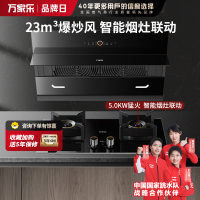 万家乐 抽油烟机 定时烟灶联动套装 24立方大吸力油烟机5.2kw大火力燃气灶具套装AL5+AY9天然气