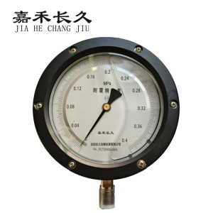 嘉禾长久+耐震抗震精密压力表检测定制型+YBN150 0.4级+块