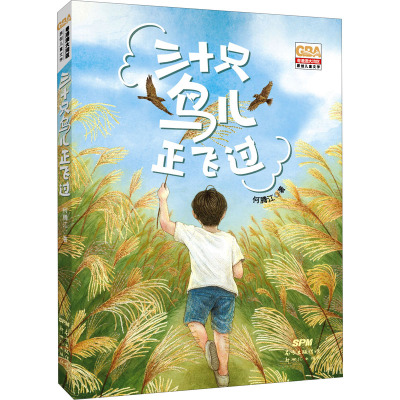 三十只鸟儿正飞过