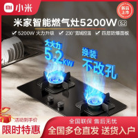 小米米家智能燃气灶S2猛火5.2KW爆炒台嵌两用厨房天然气灶