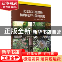 正版 北京汉石桥湿地植物病害与菌物图册 朱绍文,潘彦平,蔡春轶