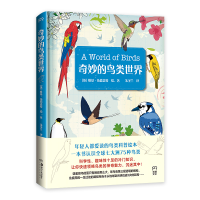 音像奇妙的鸟类世界(英)维基·伍德盖特(Vicky Woodgate)绘、著