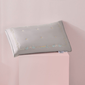 A类全棉柔软蚕丝枕头枕芯护颈椎助睡眠一对装家用纯棉低整头男女4