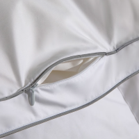 水星家纺羽绒被 90%白鸭绒抗菌洁净无异味鸭绒被子冬季冬被被芯 雪弥尔抗菌羽绒冬被 200cmx230cm