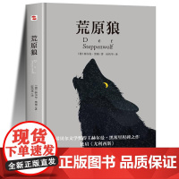荒原狼无删减完整版 赫尔曼黑塞著 诺贝尔文学奖得主 治愈社恐内的焦虑 克服社交恐惧 现当代故事世界名著初高中课外阅读书籍