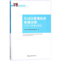 音像NAES宏观经济形势分析财经战略研究院 著